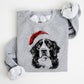 🎄🎅CHRISTMAS SPECIAL PRICE: ￡9.99!!🎁Santa Paws Christmas Dog Sweatshirt🐶
