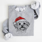 🎄🎅CHRISTMAS SPECIAL PRICE: ￡9.99!!🎁Santa Paws Christmas Dog Sweatshirt🐶