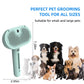 🐶Buy two, get a 5% discount🔥Pet Spray Hair Removal Comb