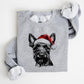 🎄🎅CHRISTMAS SPECIAL PRICE: ￡9.99!!🎁Santa Paws Christmas Dog Sweatshirt🐶