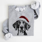 🎄🎅CHRISTMAS SPECIAL PRICE: ￡9.99!!🎁Santa Paws Christmas Dog Sweatshirt🐶