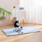 🐶Buy Two Get 10% Off🐱Summer Pet Dog/Cat Cooling Cushion
