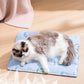 🐶Buy Two Get 10% Off🐱Summer Pet Dog/Cat Cooling Cushion