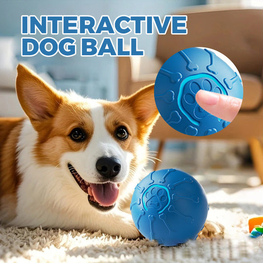 🎉Buy One Get One Free✨Interactive Dog Ball
