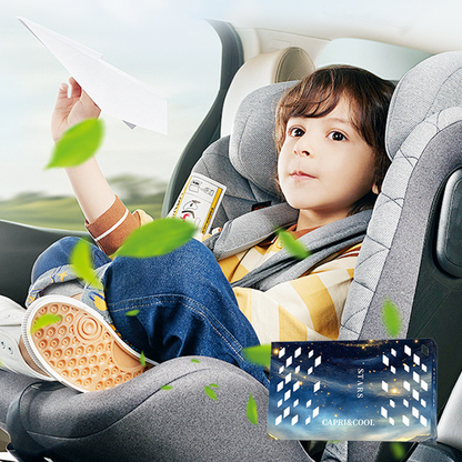 BUY 2 OR MORE FREE SHIPPING✈️🔥Hot Sale 60% OFF🔥Natural Plant-Based Air Freshener for Room & Car