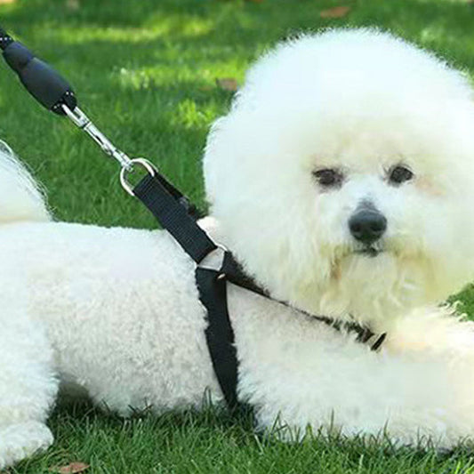 ⏰Last Day Hot Sale!!⌛Sturdy Dog Leash with Comfortable Handle