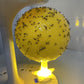 ✨2025 Hot Sale⌛🔥Sticky Fruit Fly Trap Ball with Stand & LED