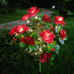 ✨2025 Hot Sale⌛Simulation Azalea Flower Ground Stake Solar Light