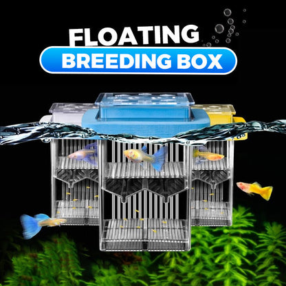 ✨Hot Sale 50% OFF🌊4-Layer Protective Detachable Acrylic Fry Hatching Box🐠