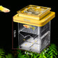 ✨Hot Sale 50% OFF🌊4-Layer Protective Detachable Acrylic Fry Hatching Box🐠