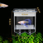 ✨Hot Sale 50% OFF🌊4-Layer Protective Detachable Acrylic Fry Hatching Box🐠